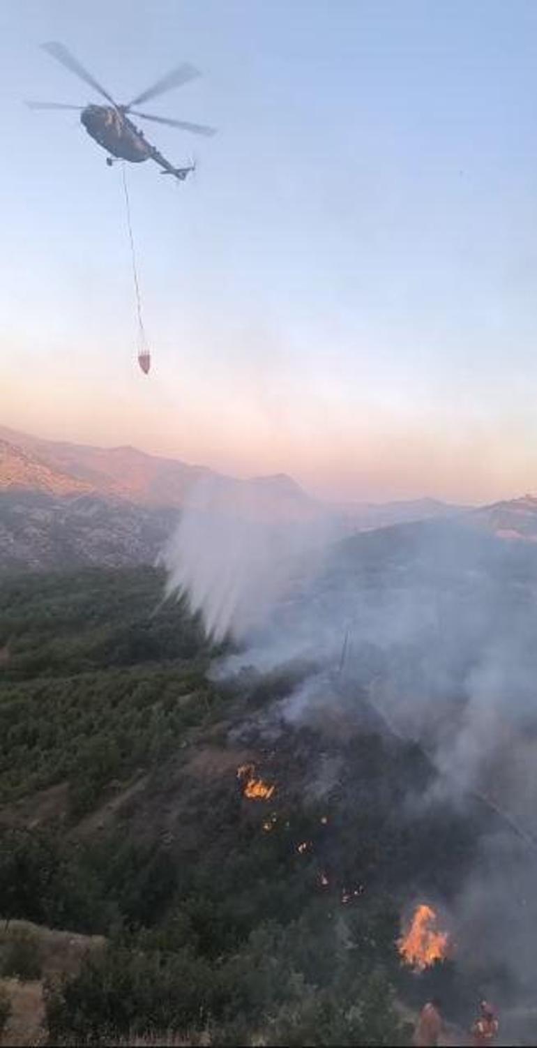 Diyarbakır- Bingöl sınırında orman yangını kontrol altında