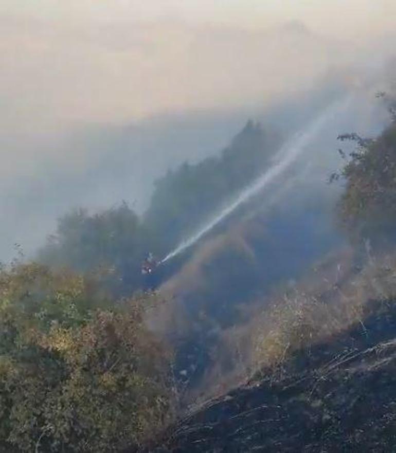 Diyarbakır- Bingöl sınırında orman yangını kontrol altında