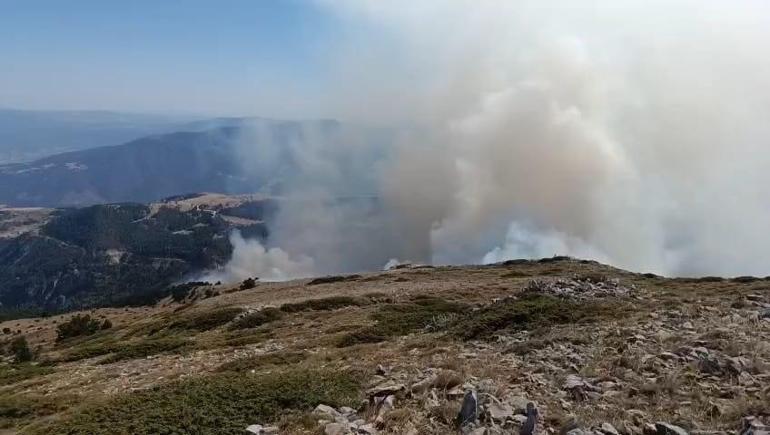 Amasya’da orman yangını