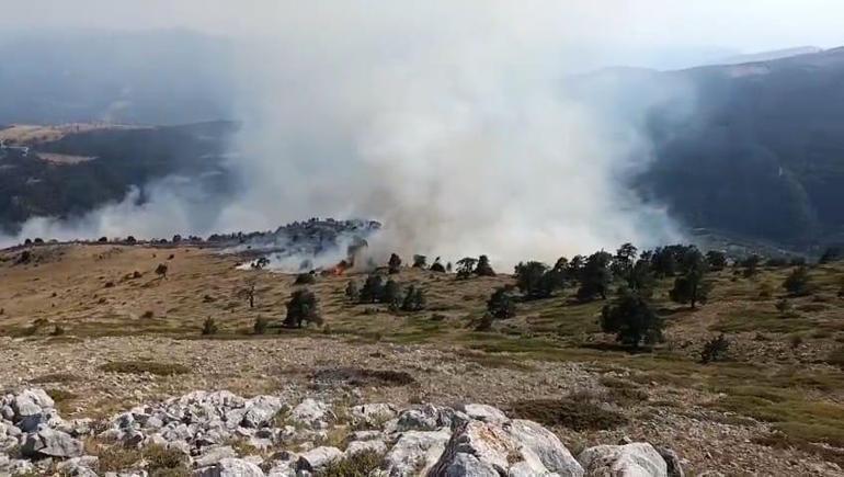 Amasya’da orman yangını