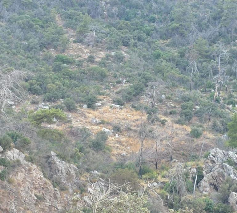 Marmaris’te doğa yürüyüşünde kaybolan Rus turist bulundu