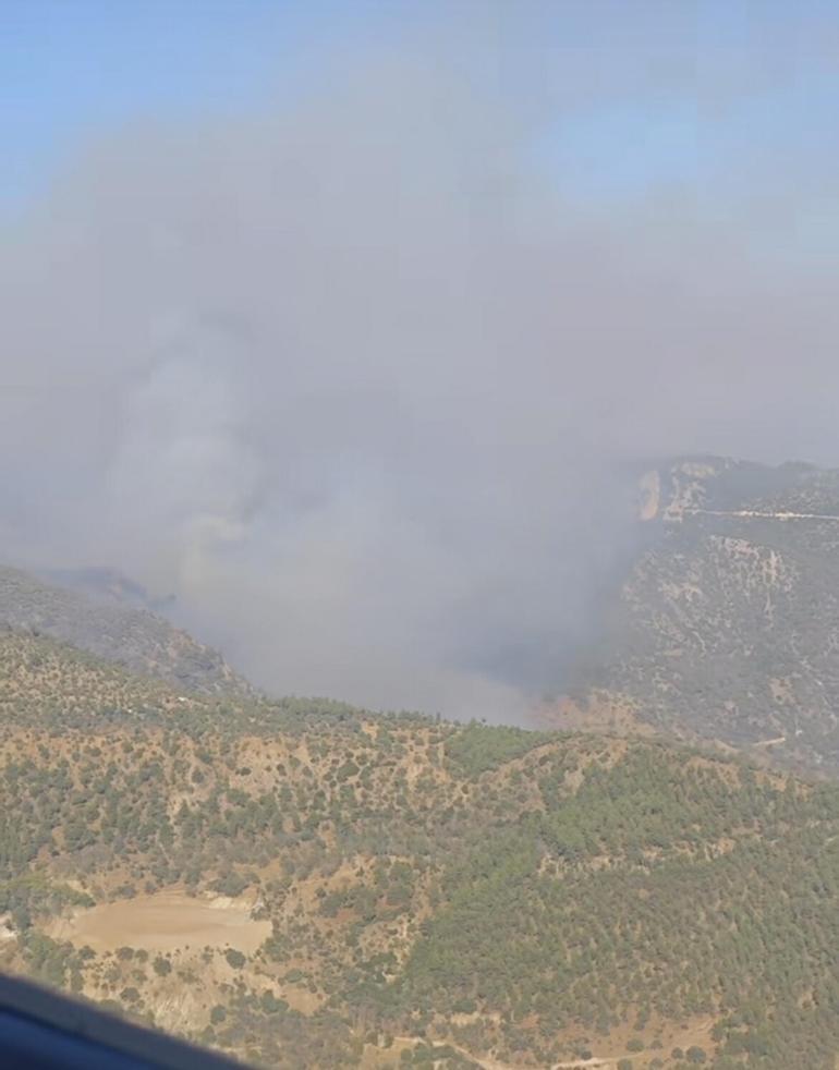 Denizlideki orman yangını Aydına sıçradı