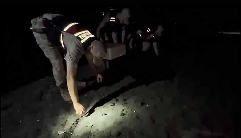Hatay’da yönünü kaybeden yeşil deniz kaplumbağalarını jandarma denize ulaştırdı
