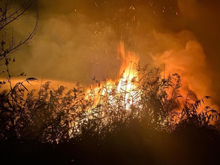 Sazlıktaki yangına müdahale sırasında çalılara takılan kişi kurtarıldı