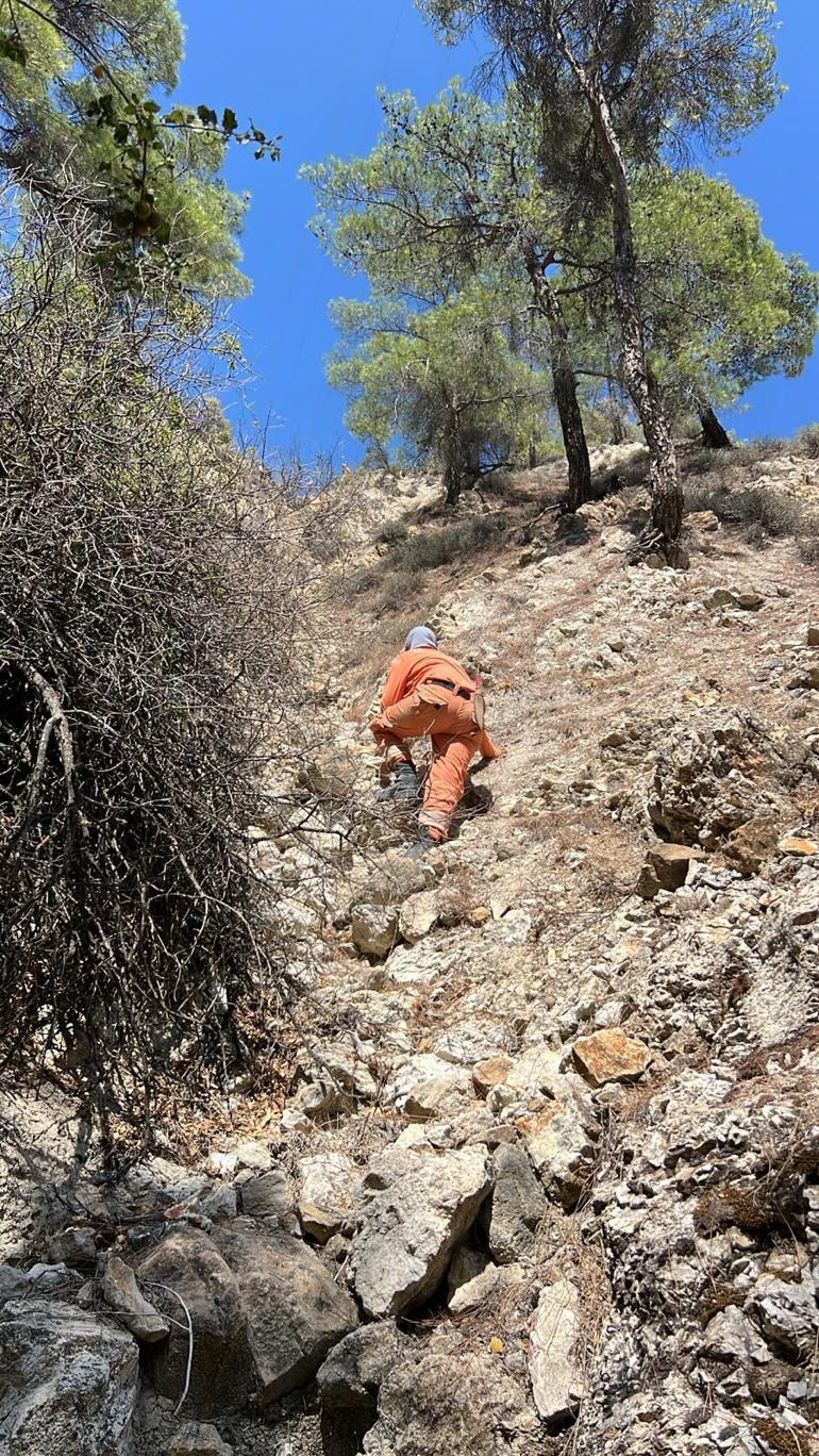 Kastamonudaki orman yangınları 2nci gününde