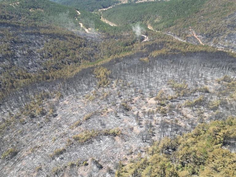 Karabük ve Kastamonu’da orman yangınlarına müdahale sürüyor