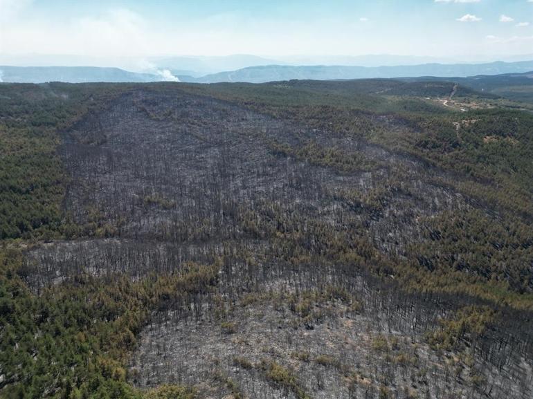 Karabük ve Kastamonu’da orman yangınlarına müdahale sürüyor
