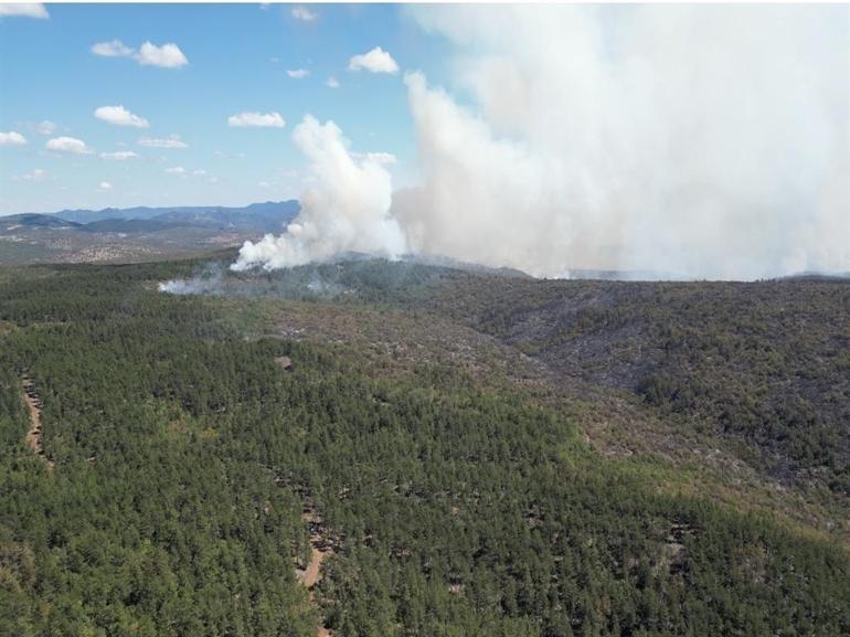 Karabük ve Kastamonu’da orman yangınlarına müdahale sürüyor