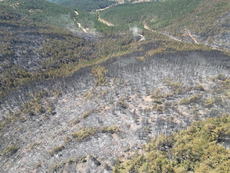 Karabük ve Kastamonu’da orman yangınlarına müdahale sürüyor