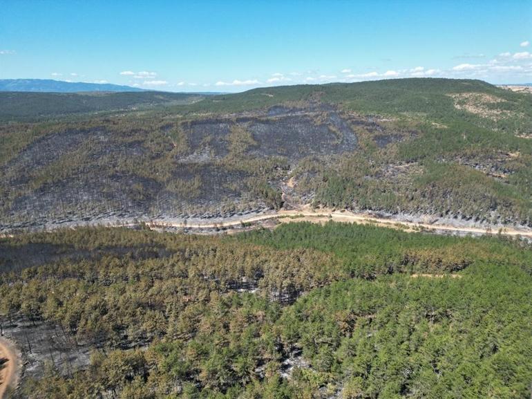 Karabük ve Kastamonu’da orman yangınlarına müdahale sürüyor