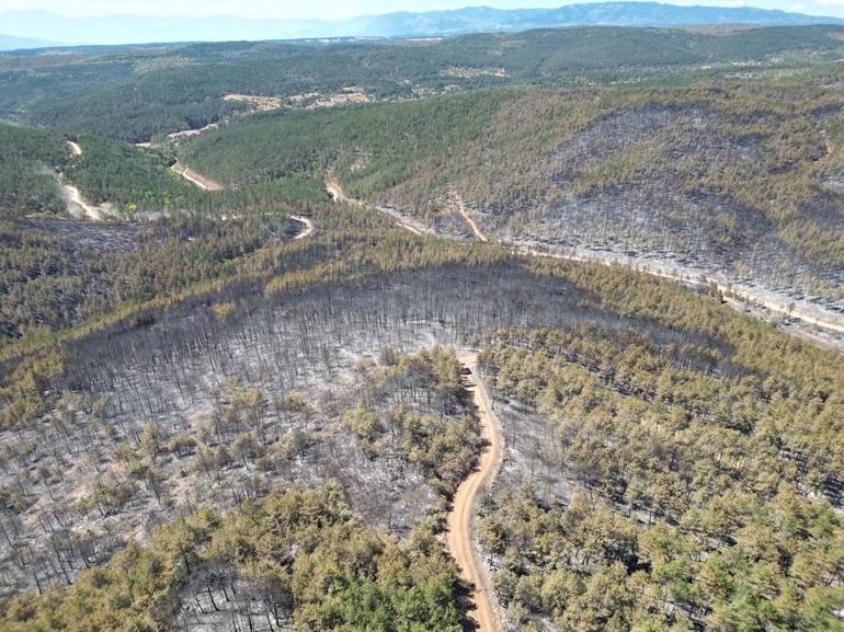 Karabük ve Kastamonu’da orman yangınlarına müdahale sürüyor