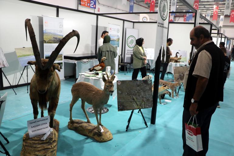 2050de yüzde 65-70 daha çok gıdaya, bunu üretmek için de yüzde 15 daha çok suya ihtiyaç var