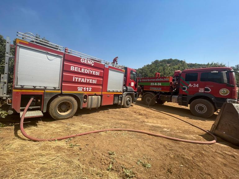 Bingöl’de orman yangını kontrol altında
