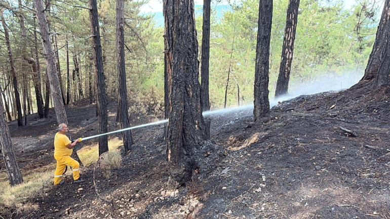 Bakan Yumaklı: Kastamonu ve Karabük’te orman yangınları büyük ölçüde kontrol altında