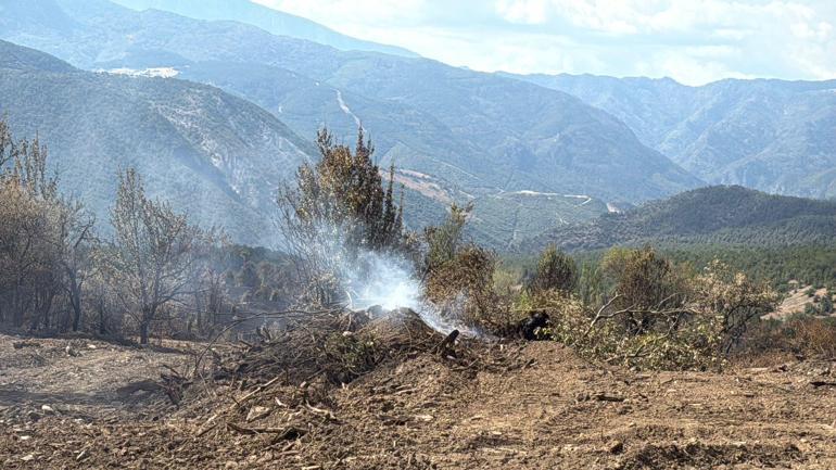 Bakan Yumaklı: Kastamonu ve Karabük’te orman yangınları büyük ölçüde kontrol altında