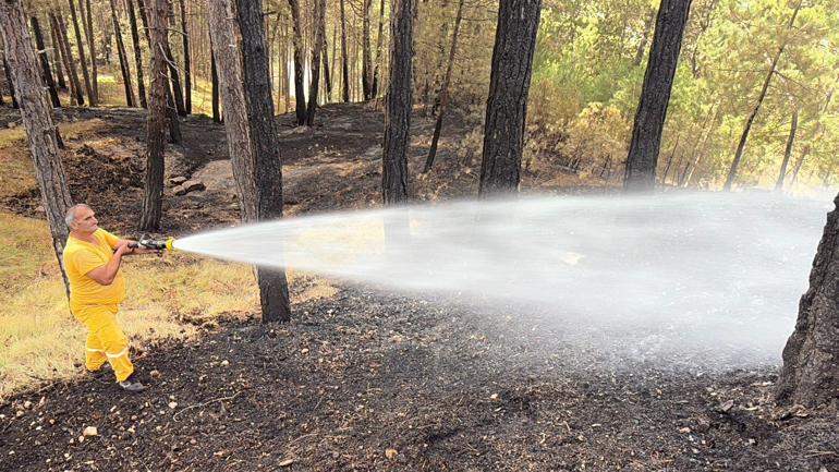 Bakan Yumaklı: Kastamonu ve Karabük’te orman yangınları büyük ölçüde kontrol altında