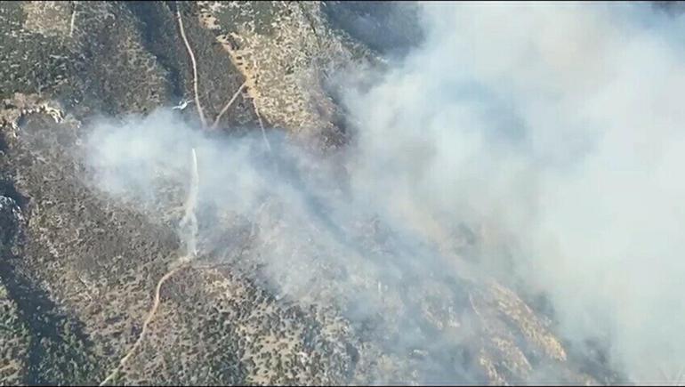 Aydında maki yangını