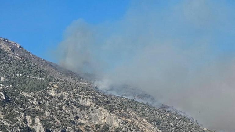 Aydında maki yangını