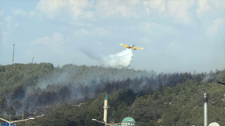 Bodrumda orman yangını kontrol altında
