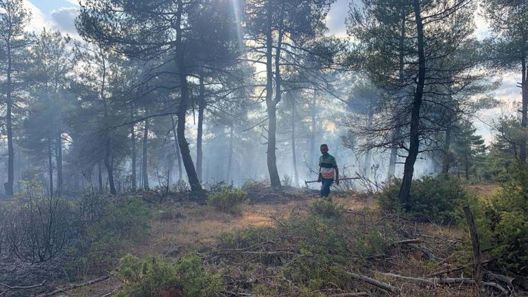 Yıldırım düşen ormanda çıkan yangında 1 hektar alan zarar gördü