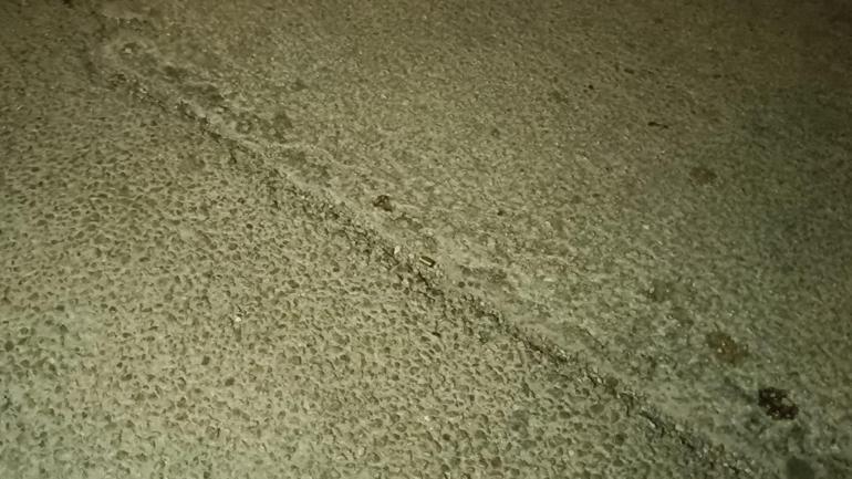 Düğünde çıkan kavgada tabancayla öldürüldü