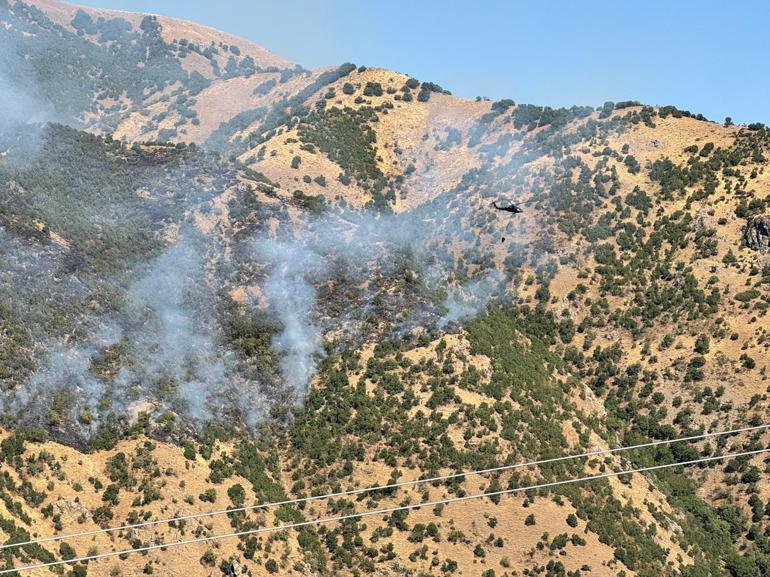 Hakkaride çıkan orman yangını kontrol altına alındı