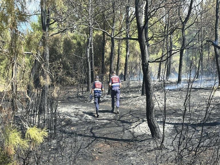 Çanakkale’de orman yangını kontrol altında