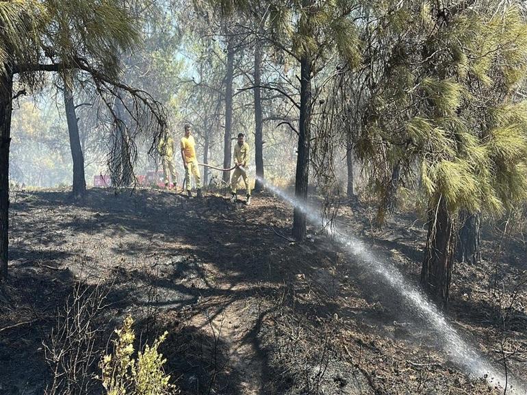 Çanakkale’de orman yangını kontrol altında