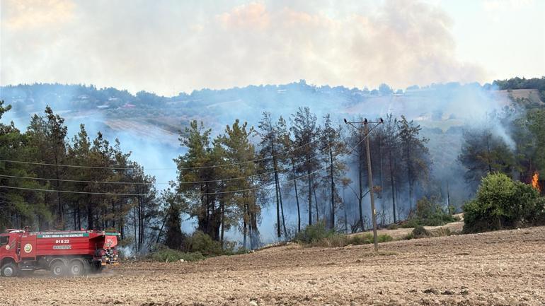 Osmaniyede çıkan orman yangını kontrol altında