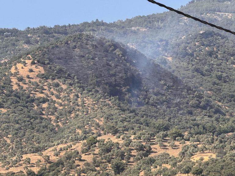 Aydında tarım arazisinde yangın kontrol altında