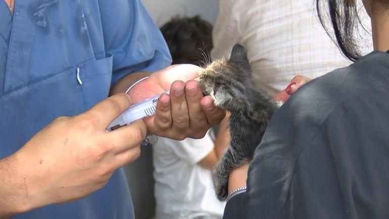 Küçükçekmecede 5 katlı binada yangın; bir kişi hayatını kaybetti
