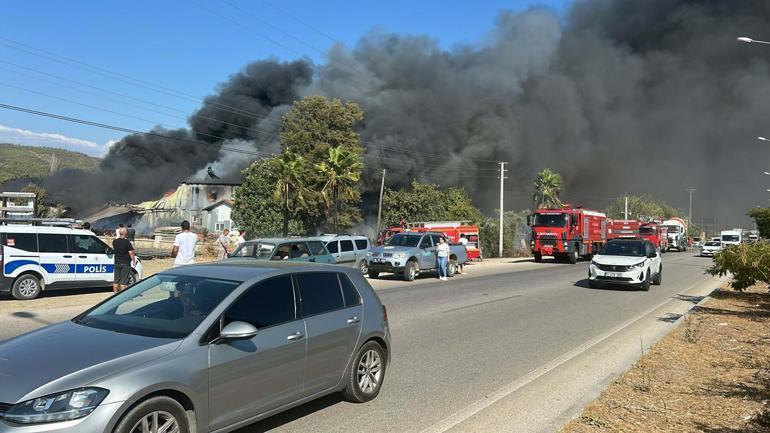 Orman yakınlarındaki kereste deposunda yangın