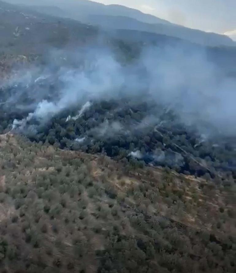 Balıkesirde orman yangını