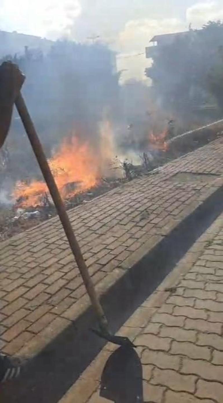 Silivride kümese sıçrayan yangında çok sayıda güvercin öldü