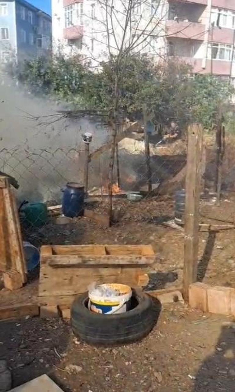 Silivride kümese sıçrayan yangında çok sayıda güvercin öldü