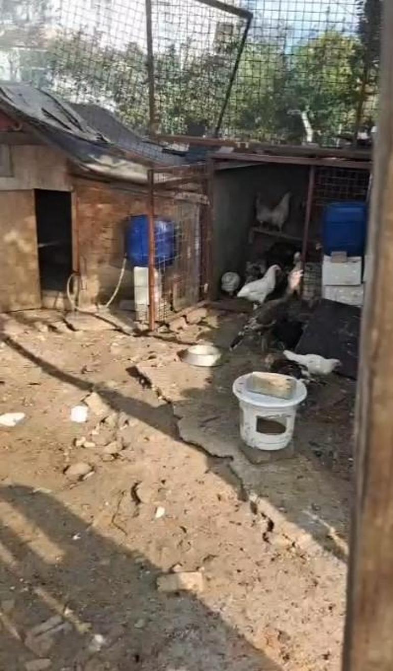 Silivride kümese sıçrayan yangında çok sayıda güvercin öldü