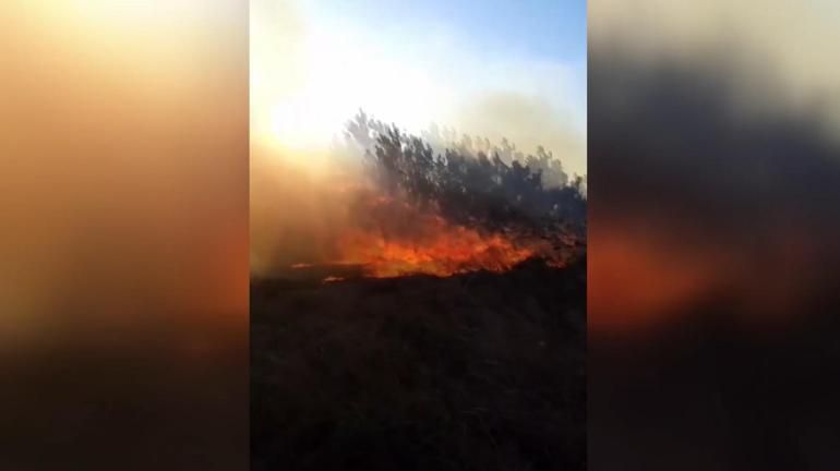 Bursa’daki orman yangını kontrol altında