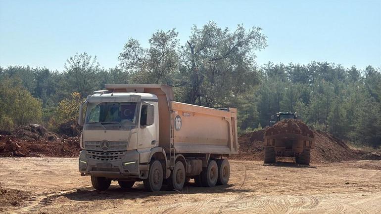 Milas’ta zeytin ağaçları taşınarak yaşatılıyor