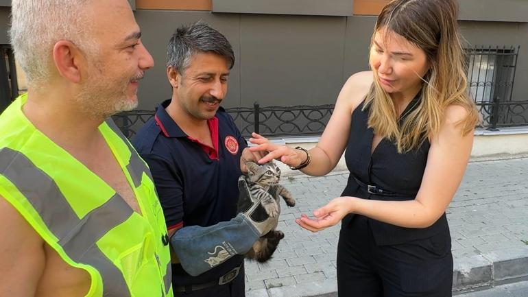 Avcılar’da aracın motor bölümüne sıkışan kediyi yolda fark etti; itfaiye kurtardı