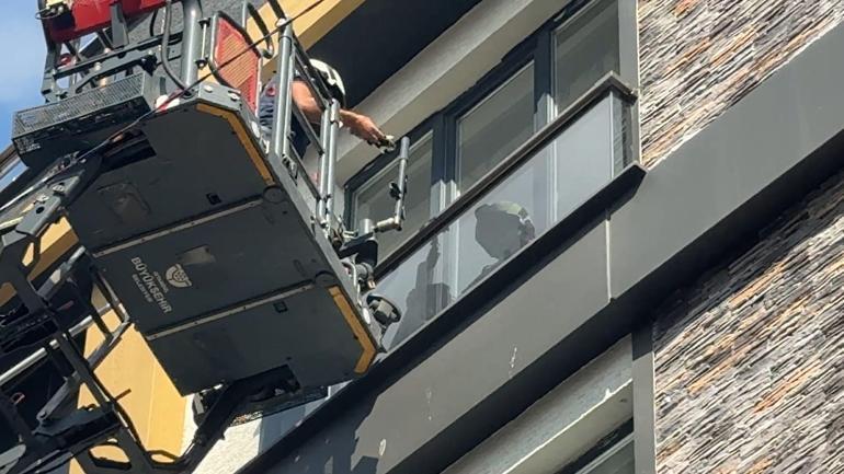 Avcılar’da aracın motor bölümüne sıkışan kediyi yolda fark etti; itfaiye kurtardı