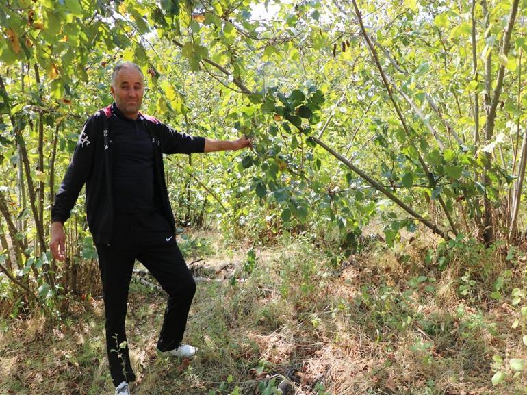 Babası gibi ayı saldırısına uğradı; parmağı koptu