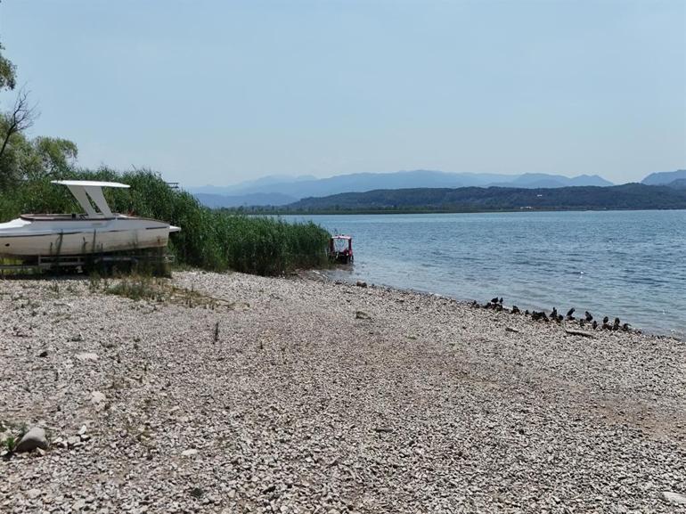 Doç. Dr. Yiğit: Sapanca Gölünde en radikal tedbirlerin bir an önce alınması gerekiyor