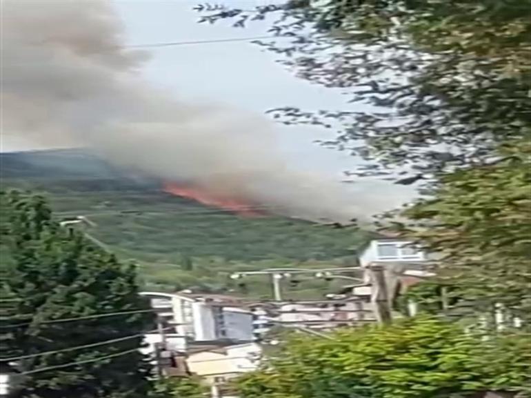 Kocaelideki orman yangını kontrol altında