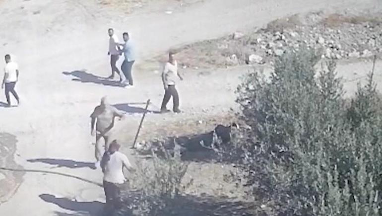 Kuzenlerin sondaj kuyusu açma kavgası; çiftin darbedildiği anlar kamerada