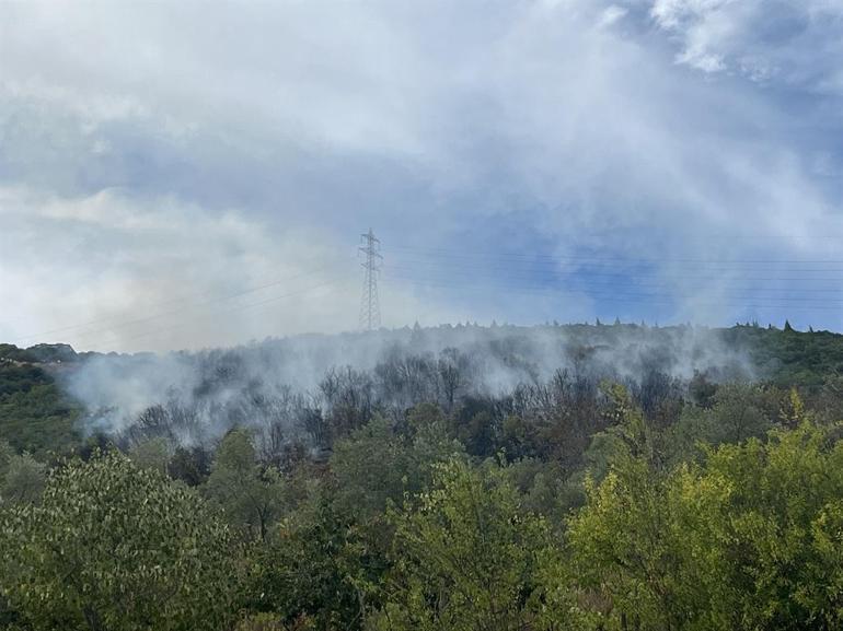 Kocaelideki orman yangını kontrol altında