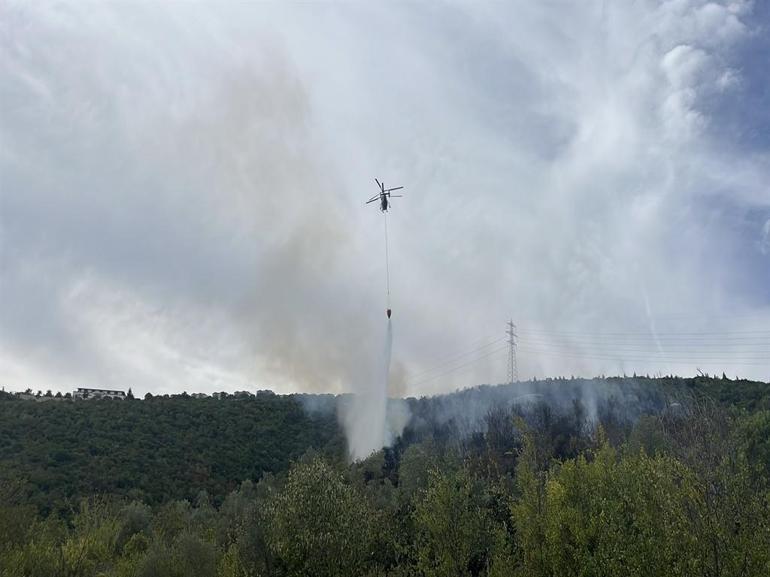 Kocaelideki orman yangını kontrol altında