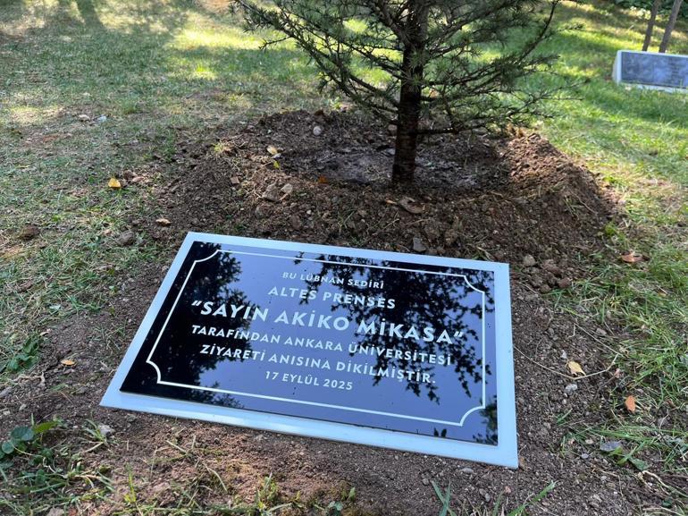 Japonya Prensesi Akiko Mikasaya fahri doktora verildi