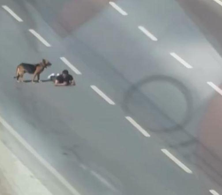 Samsun’da bir kişi, ana yolun sağ şeridinde sürünerek ilerledi; o anlar kamerada