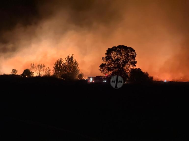 Edirne’de buğday tarlasındaki yangın, ormana sıçramadan söndürüldü