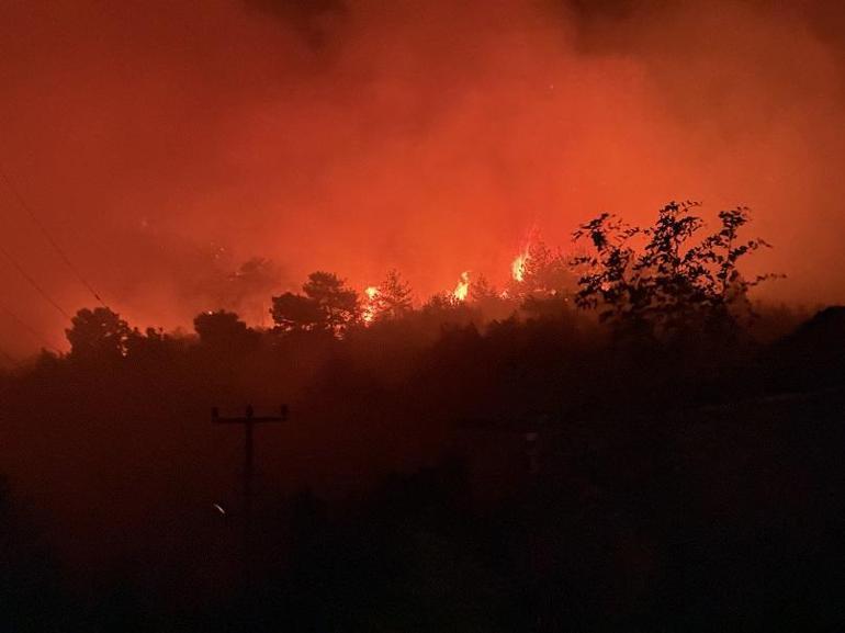 Antalyada orman yangını